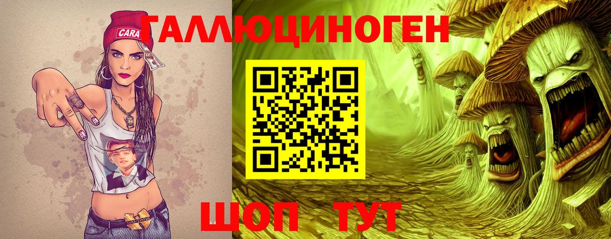 Жигулёвск  Псилоцибиновые грибы Psilocybine cubensis  Вход с VPN 